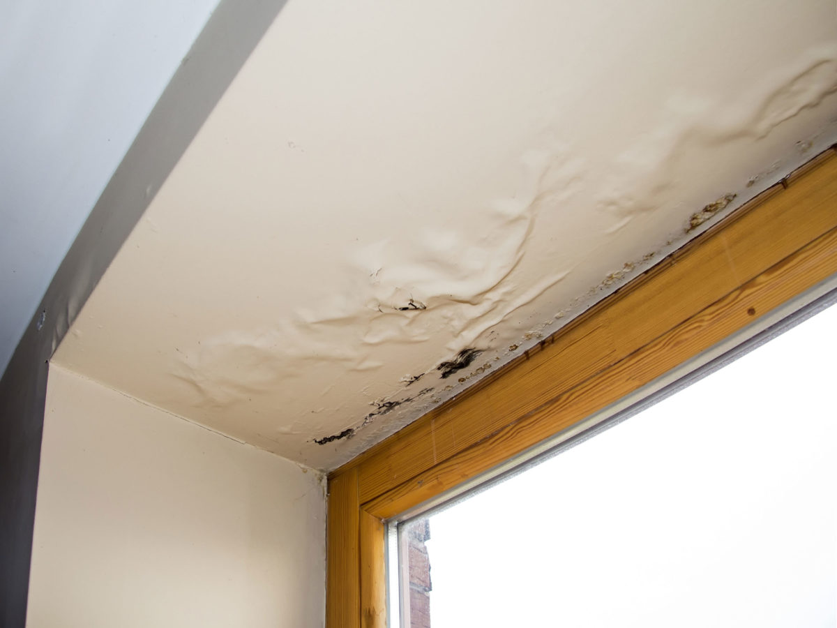 Humidity & Trapped Moisture Roof Repair