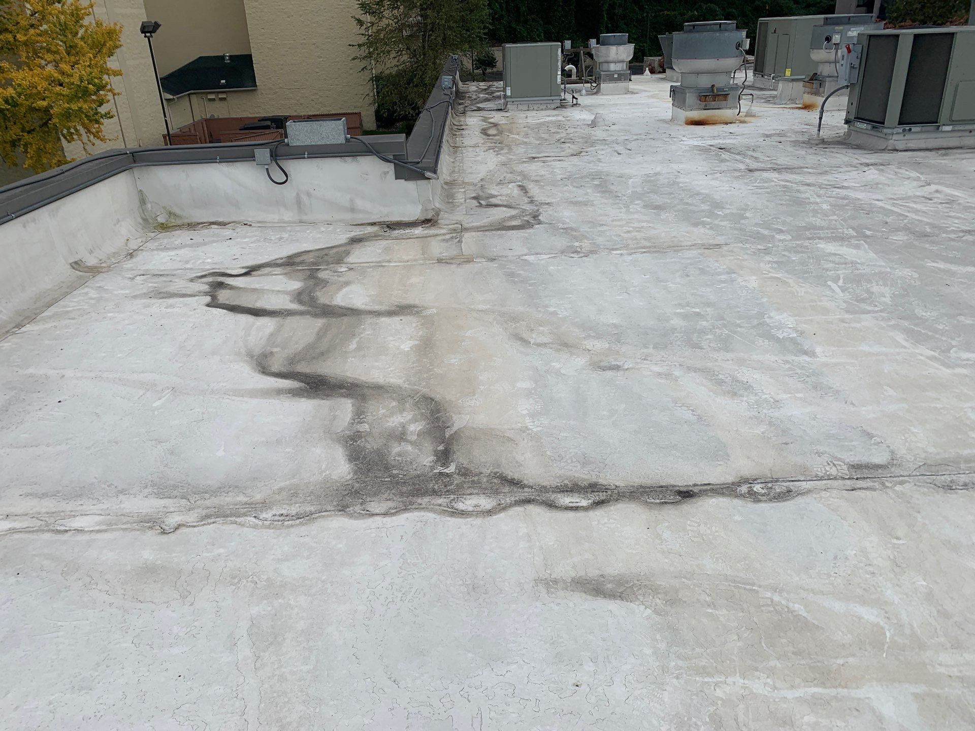 Hurricane and Wind Damage Roof Repair